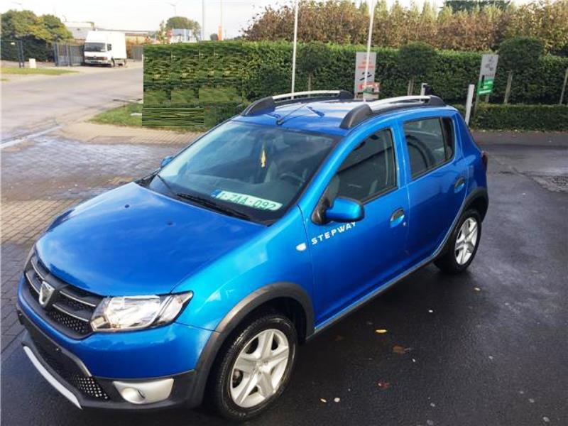 Renault sandero stepway дверь