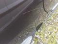 resized_25573851159116e9438561.jpg