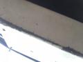 resized_125028492259b9564fd8847.jpg