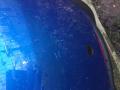 resized_191181497959f6f80dea1f9.jpg