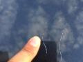 resized_174990740255e60a871bde5.jpg