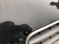 resized_9616786575c52f0bbe2aec.jpg