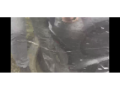 resized_7879546915c5ee20819096.png