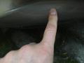 resized_1206743930565eb6ce21569.jpg
