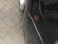 resized_19687606925e355349a24ba.jpeg
