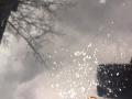 resized_110929771256af478ee3f3e.JPG