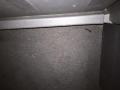 resized_141287413456e71acc73867.jpg