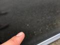 resized_60475692460e59fcc2d1ba.jpeg