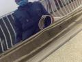 resized_9564211816194cf7f4aa3f.jpeg