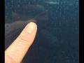 resized_190162493056fd0fdf8c846.jpg