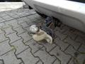 resized_1349054758571ce11a8e692.jpg