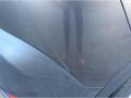 resized_205526746167bdebd85d77d.jpeg