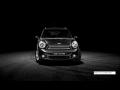 resized_248939528554f57cae330d.jpg