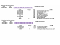 resized_57194462357e832d96a8e3.png